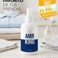2x1 AMR King