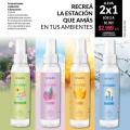 2x1 aromatizantes estaciones